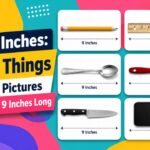 9 Inches: 6 Things with Pictures That Are 9 Inches Long