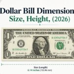 Dollar Bill Dimensions: Size, Height, (2026)