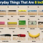 19 Everyday Things That Are 8 Inches Long