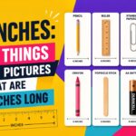 6 Inches: 8 Things with Pictures That Are 6 Inches Long