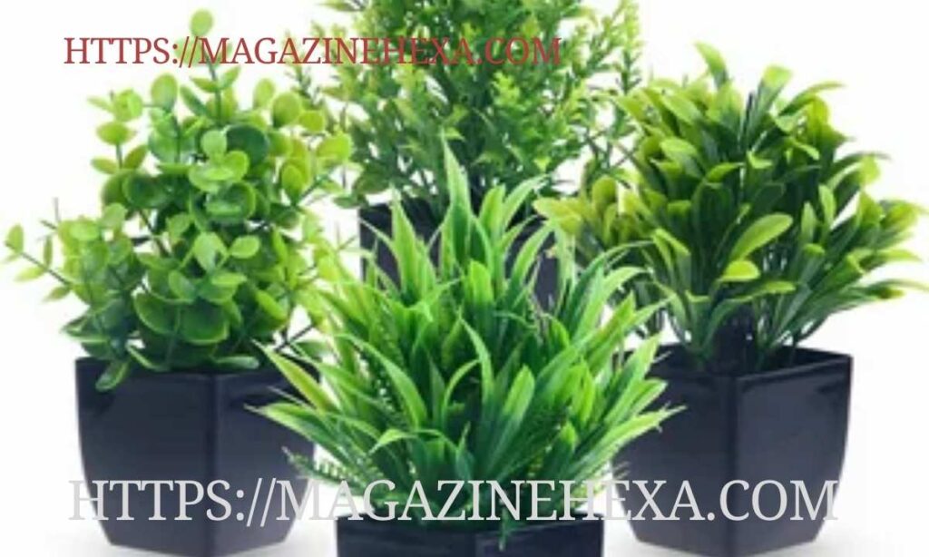 Mini Indoor Plant Pots