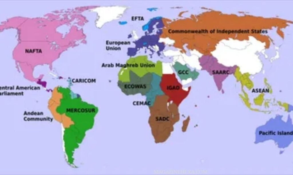 Other Lines & Regional Sizes